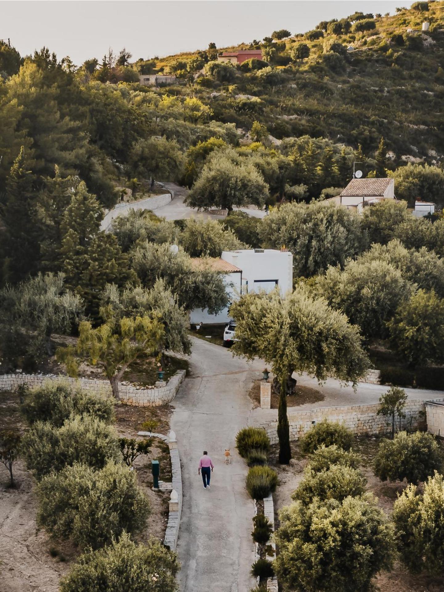 Tenuta Olive Alive Noto Pokój zdjęcie