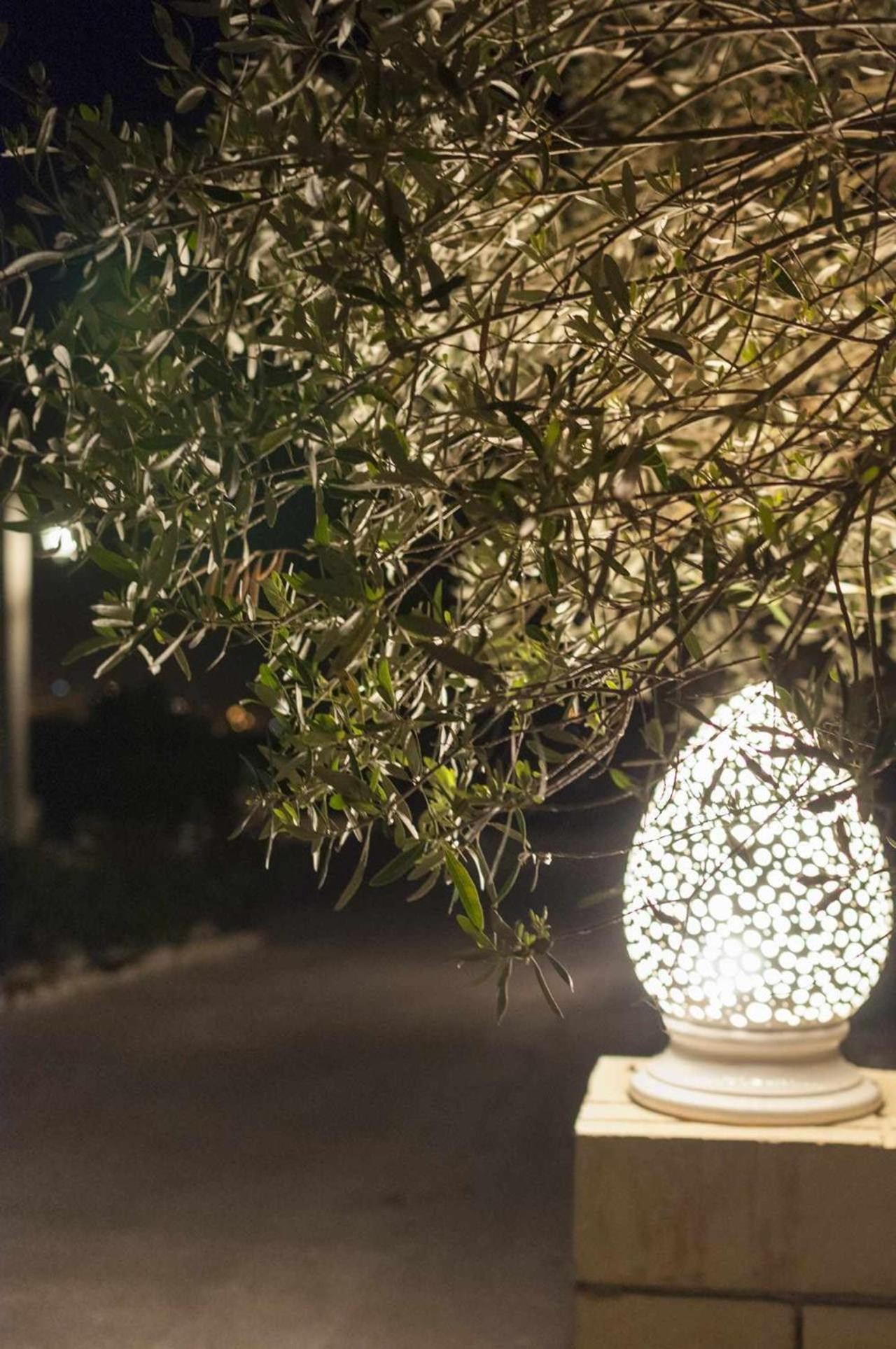 Tenuta Olive Alive Noto Zewnętrze zdjęcie