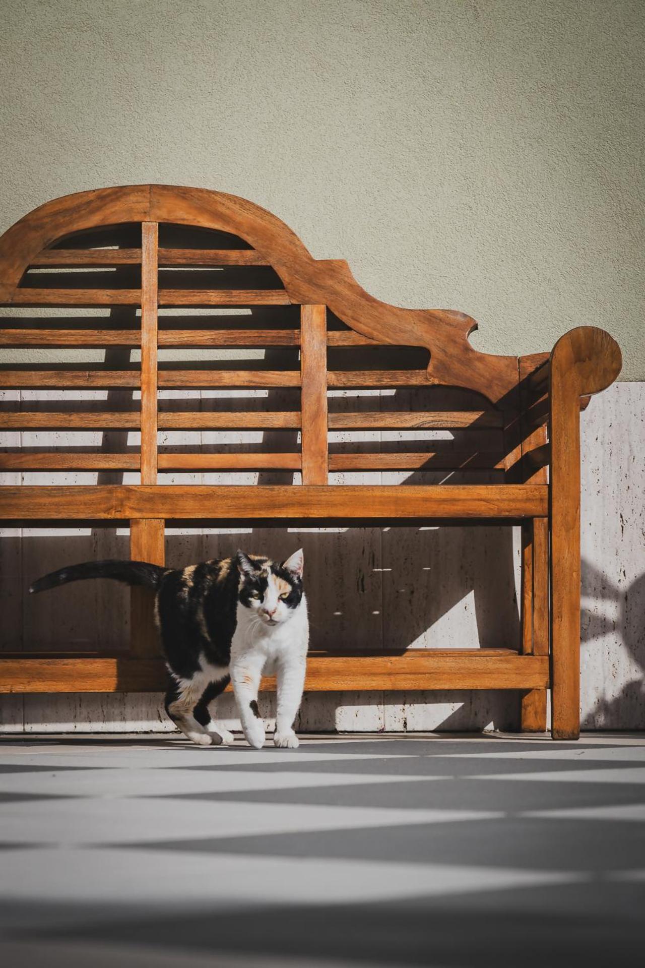 Tenuta Olive Alive Noto Zewnętrze zdjęcie