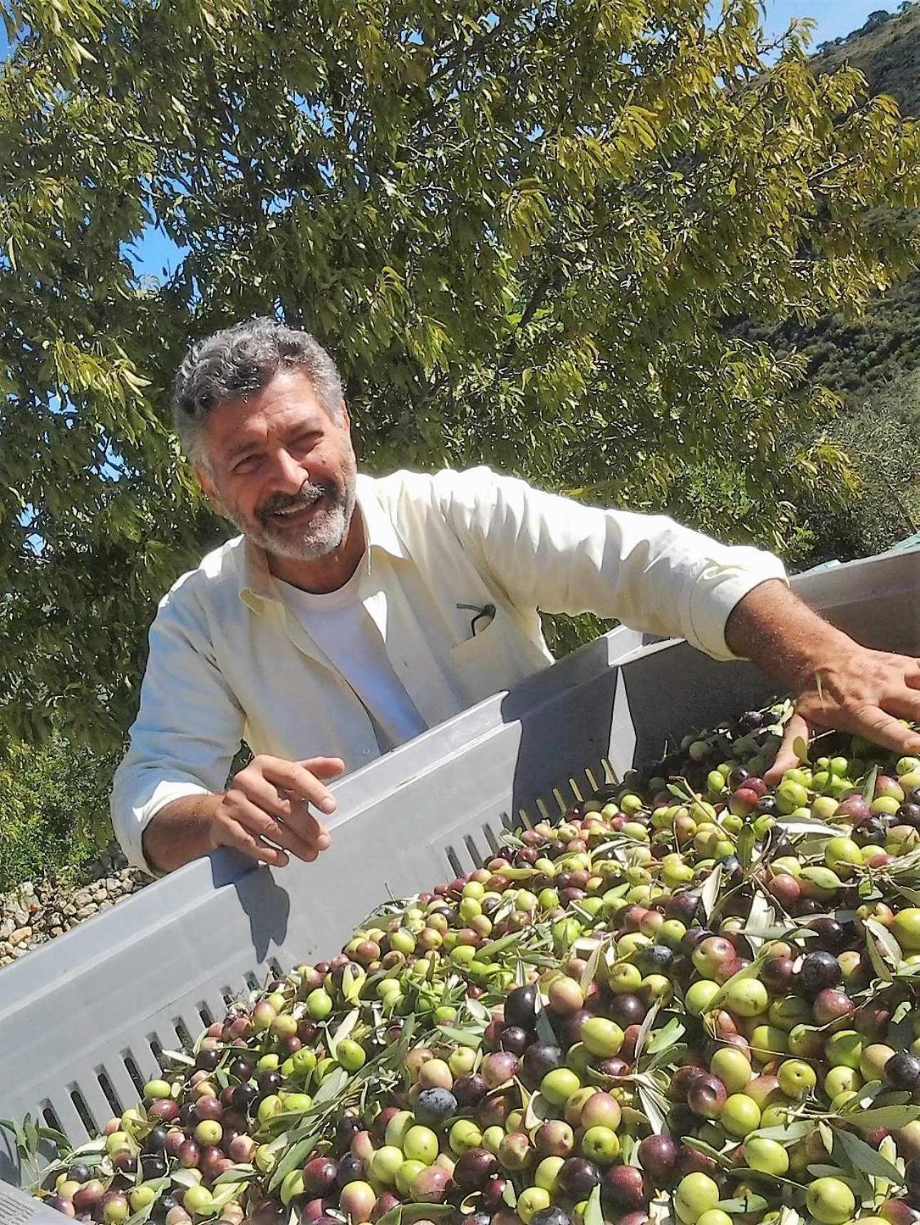 Tenuta Olive Alive Noto Zewnętrze zdjęcie